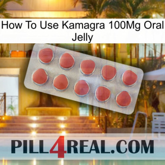 How To Use Kamagra 100Mg Oral Jelly 18